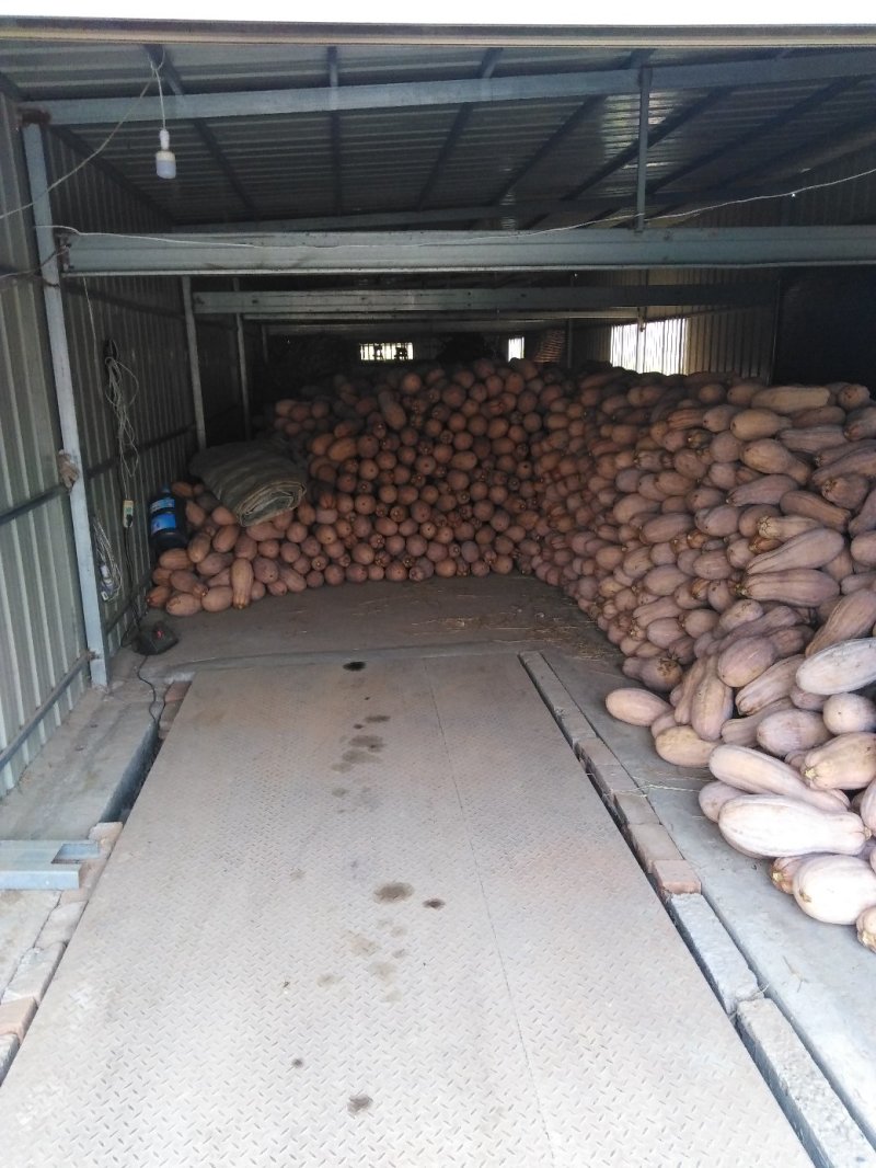 枝江货运市场动态分析与展望