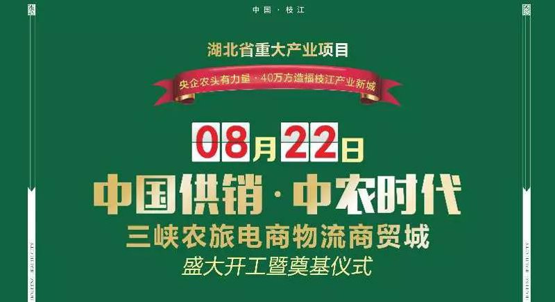 枝江物流公司的动态观察：产业变革与转型升级