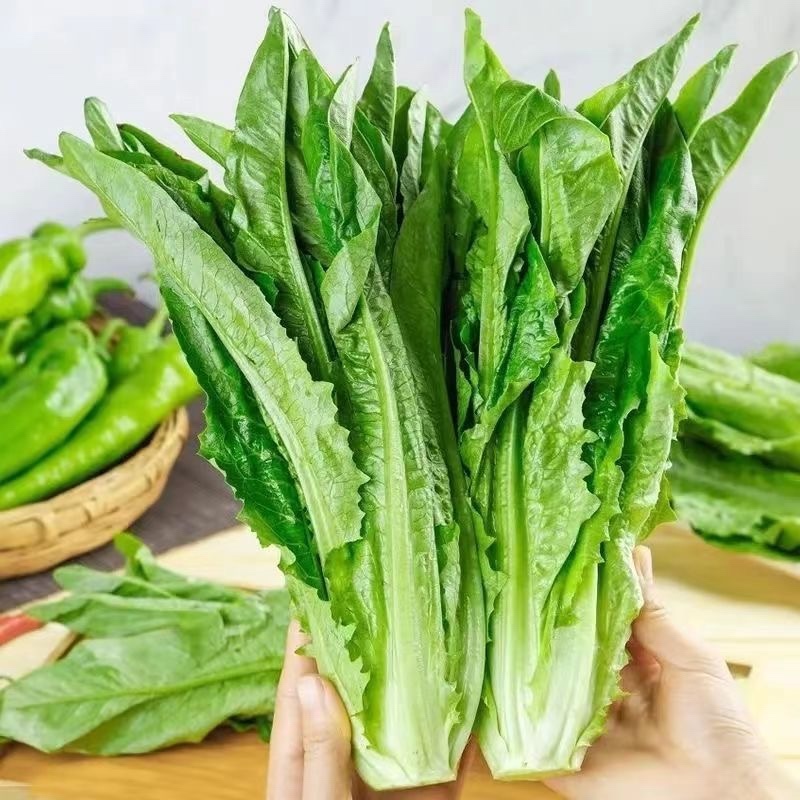 枝江整车运输：助力区域物流一体化